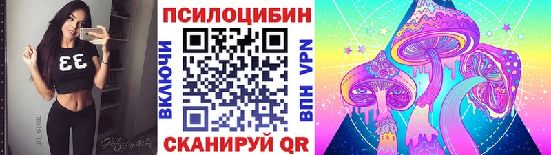 omg ТОР  Почеп  Псилоцибиновые грибы мицелий 